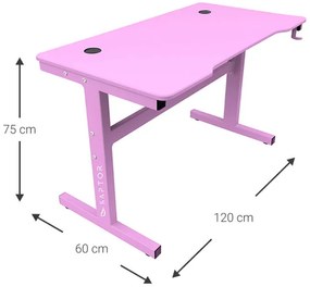 Γραφείο Gaming Raptor Falcon-Roz