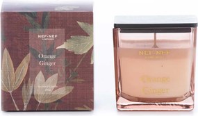 Κερί Αρωματικό 200gr Nef-Nef Homeware Orange Ginger
