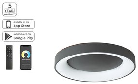Φωτιστικό Πλαφονιέρα LED Dimmable Smart WiFi Homelighting Amaya 77-8153 Black