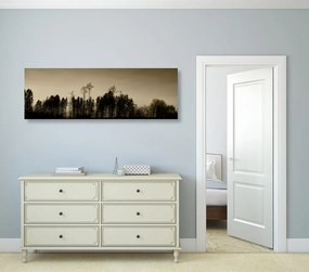 Εικόνα δάσος σέπια - 150x50