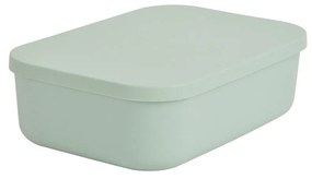 Κουτί Αποθήκευσης (25x17.5x7.6) L-C Sauge 6RAN838VC
