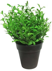Supergreens Τεχνητό Φυτό Αρωματικό 19 εκ. - 9650-6 - 9650-6