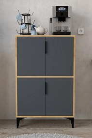 Ντουλάπι Sapphire Δρυς / Ανθρακί AFLOL 72x36.5x12