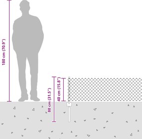 vidaXL Συρματόπλεγμα Περίφραξης με Πάσσαλο 10 x 0,4 m