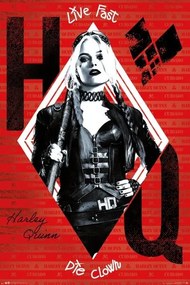 Αφίσα The Suicide Squad - Harley Quinn, (61 x 91.5 cm)