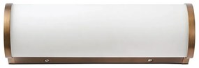 Φωτιστικό Μπάνιου - Τοίχου Danubio 63603 LED 9W 2700K 600Lm Bronze Faro Barcelona Aluminium, Glass