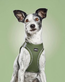 Λουρί Σκύλου Gloria 24,5-26 cm Πράσινο 18-20 cm