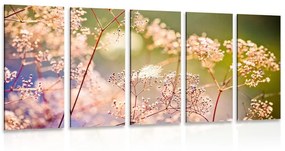 5 μέρη εικόνα λουλουδιού - 100x50