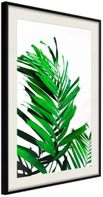 Αφίσα - Emerald Palm - 20x30 - Μαύρο - Με πασπαρτού