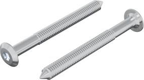 vidaXL Βίδα 2 pcs Ασημί M6 x 60 χιλ. Ατσάλι