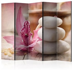 Διαχωριστικό με 5 τμήματα - Aromatherapy II [Room Dividers] 225x172