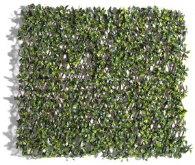 Supergreens Τεχνητή Πτυσσόμενη Φυλλωσιά Σεφλέρα Arboricola 100x200 εκ. - Πολυαιθυλένιο - 9351-7