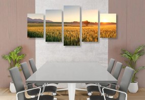Εικόνα 5 μερών ηλιοβασίλεμα πάνω από το χωράφι με σιτάρι - 100x50