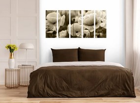 Πεδίο εικόνας 5 μερών με άγριες παπαρούνες σε σχέδιο σέπια - 100x50