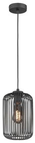 Κρεμαστό Φωτιστικό Οροφής Μαύρο Cage 860866 Fischer Honsel-860866-Μαύρο 860866
