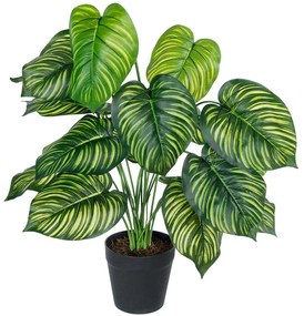 Τεχνητό Φυτό Calathea 20912 Φ55x75cm Green-Yellow GloboStar Πολυαιθυλένιο,Ύφασμα