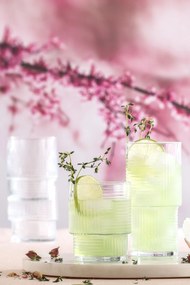 Glass Set (6 Pieces) LV-HLN376F Transparent