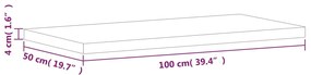 vidaXL Πάγκος Μπάνιου 100x50x4 εκ. από Μασίφ Ξύλο Οξιάς