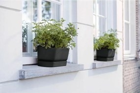 Κηπουρός Elho   Μαύρο 50 cm Πλαστική ύλη Οβάλ