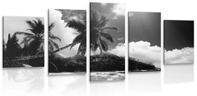 Εικόνα 5 μερών μιας όμορφης παραλίας στο νησί των Σεϋχελλών σε μαύρο & άσπρο - 100x50