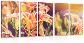 Εικόνα 5 μερών όμορφα ανθισμένα λουλούδια στον κήπο - 100x50