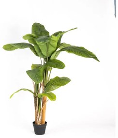 Τεχνητό Δέντρο Μπανανιά 160 εκ. 2980-6 Supergreens-2980-6-Πράσινο 2980-6