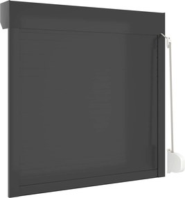 vidaXL Ρολό εισόδου Ανθρακί 100 x 100 cm Αλουμίνιο και Πολυουρεθάνη