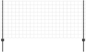 Τείχος και Πόστ Γκρι 1 x 25 m Ατσάλι