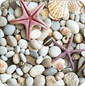 Stewehome Σετ Πατάκια Μπάνιου με Αστερίες και Βότσαλα 2 Τεμ. 60x60 cm