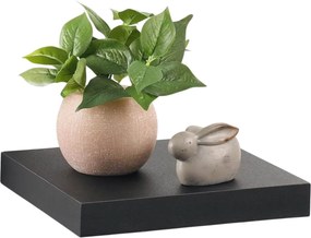 ΡΑΦΙΈΡΕΣ/ΡΆΦΙΑ ΤΟΊΧΟΥ FLOATING SHELF MDF L25*22,8CM BLACK 6RAN790NR