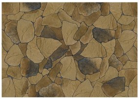 Φωτοταπετσαρία - Stone petals 200x140