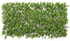 Πτυσσόμενη Πέργκολα Πυξάρι Aeterna 0291-7 90x200cm Green Supergreens 90Χ200