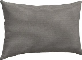 vidaXL Μαξιλάρι Καναπέ 2 pcs Ανοιχτό γκρι 50 x 30 cm