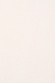Χαλί Bounty 69 White Colore Colori 300X400cm