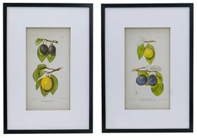 Artekko Botanical Πίνακας με Κορνίζα Πλαστικό Γυαλί Μαύρο Κίτρινο (50x3x70)cm Σετ/2 Artekko SM78453