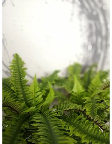 BOSTON FERN ΤΕΧΝΗΤΟ ΦΥΤΟ POLYESTER PE/PP ΠΡΑΣΙΝΟ H36cm - PVC - 022411