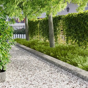 vidaXL Περίγραμμα γκαζόν 10 τμχ. 100 x 25 cm Γαλβανισμένος Χάλυβας