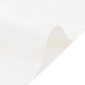 vidaXL Μουσαμάς Λευκός 6 x 8 μ. 650 γρ./μ²