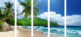 Εικόνα 5 μερών μιας όμορφης παραλίας στο νησί των Σεϋχελλών - 100x50