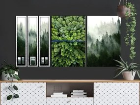 Πίνακας - Forest (Collection) - 60x30