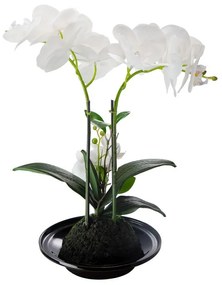 Artekko Orchid Τεχνητή Λευκή Ορχιδέα σε Κεραμικό Μαύρο Κασπώ (32x15x34)cm