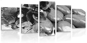 Εικόνα 5 τμημάτων ανθισμένης ορχιδέας και πέτρες ευεξίας σε μαύρο & άσπρο - 200x100