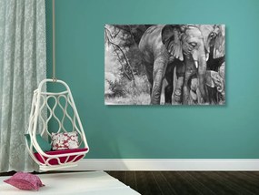 Εικόνα μιας οικογένειας ελεφάντων σε μαύρο & άσπρο - 90x60