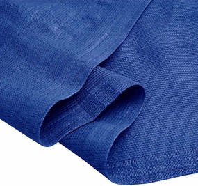 vidaXL Χαλί Σκηνής Μπλε 250 x 400 εκ.
