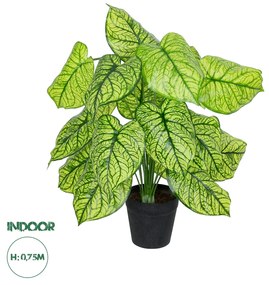 GloboStar® Artificial Garden CALADIUM 20913 Διακοσμητικό Φυτό Καλάντιουμ Υ75cm