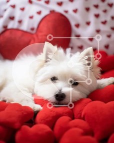 Σετ των 2 Intra Συλλεκτικό Ξύλινο Παζλ Plywood 4mm - Λευκό σκυλί στο κρεβάτι Red Hearts Σε Ξύλινο Κουτί - Διαστάσεις: 10x10 cm – 25 κομμάτια