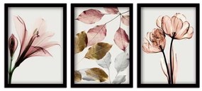 Πίνακας Pink Flowers Megapap 3 τμχ. σε πλαίσιο 35x45x2εκ.