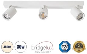Σποτ Φωτιστικό Οροφής LED Downlight 30W Λευκό-Φυσικό 4500K LEONARDO 60349 Globostar-60349-Λευκό 60349