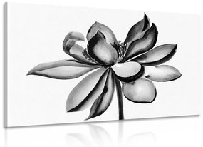Εικόνα ακουαρέλα λουλούδι λωτού σε ασπρόμαυρο σχέδιο - 120x80