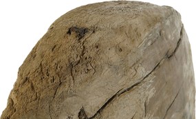 Διακοσμητική Φιγούρα Home ESPRIT Φυσικό 42 x 25 x 50 cm